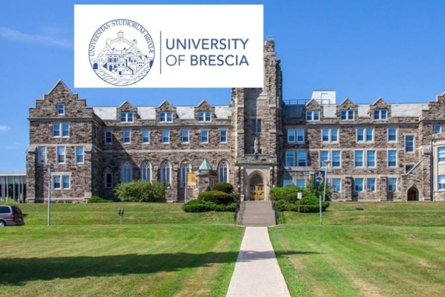 image_870x580_67cff89cd56aa